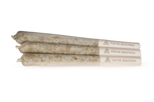 BC Organic Lemon Cherry Pie - 3 x 0.5g Indica Joints | Coast Mountain Cannabis