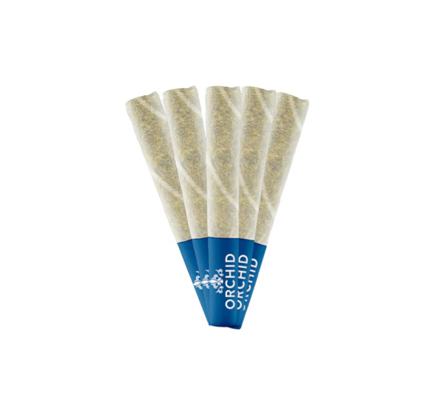 Jean Guy Cbd - 5 X 0.5g Sativa Joints | Orchid Cbd