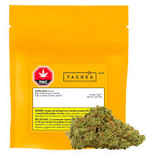 Ultra Jack - 7g Sativa Flower | 7ACRES