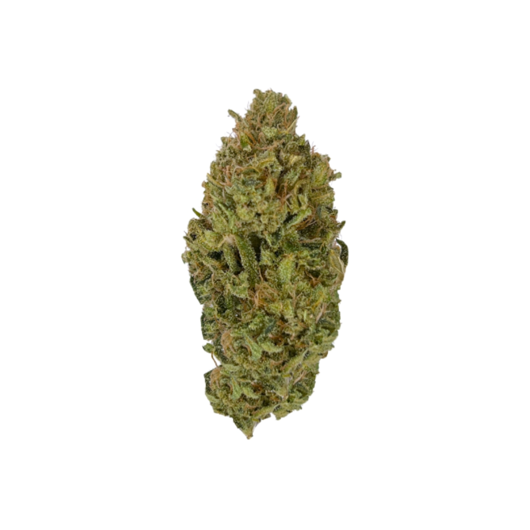 Zeus - 3.5g Indica Whole Flower | Salt Spring Magic