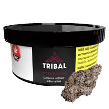 Porto Leche - 3.5g Hybrid Whole Flower | Tribal