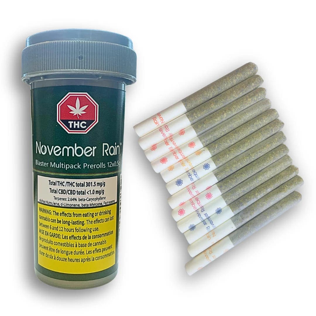 Blasters Variety - 12 x 0.5g Flavour Infused Joints | November Rain