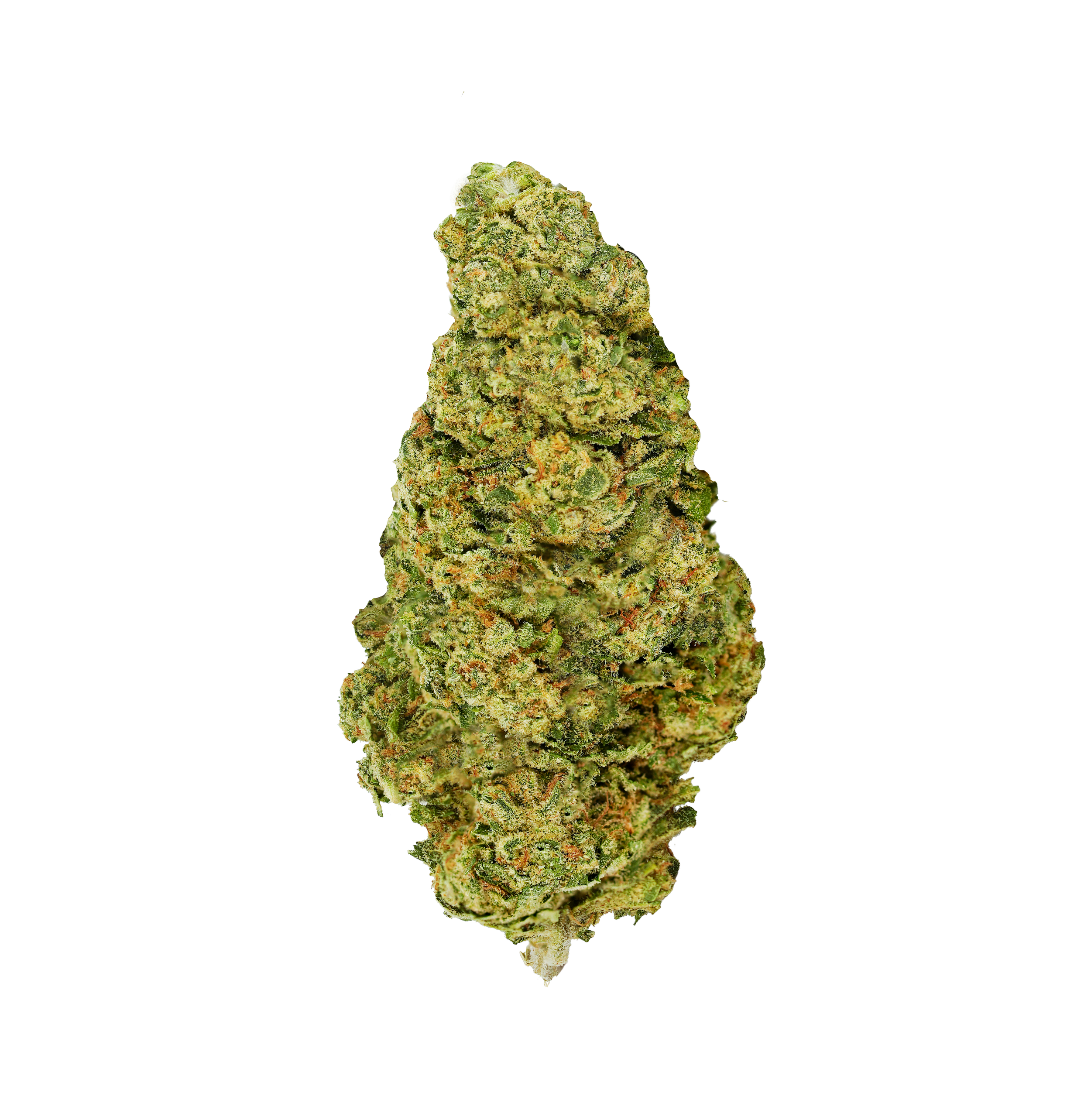 Galactic Jack - 28g Sativa Whole Flower | Back Forty