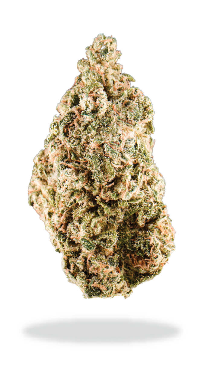Product image JOI BOTANICALS - Jet Fuel Funk Indica 14g 1