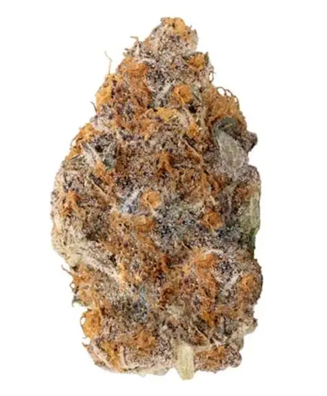 X On The Beach - 7g Indica Flower | Pistol and Paris