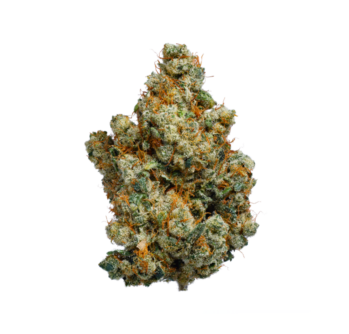 BC Organic Oil Slick - 3.5g Indica Whole Flower | Coast Mountain Cannabis