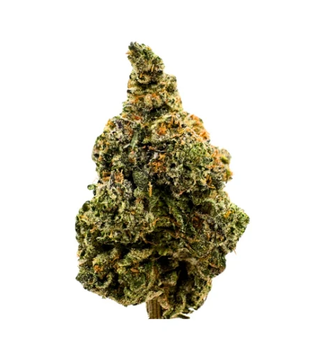 Product image West Coast OG LTO - 14g Indica Flower | BC Weed Co. 1