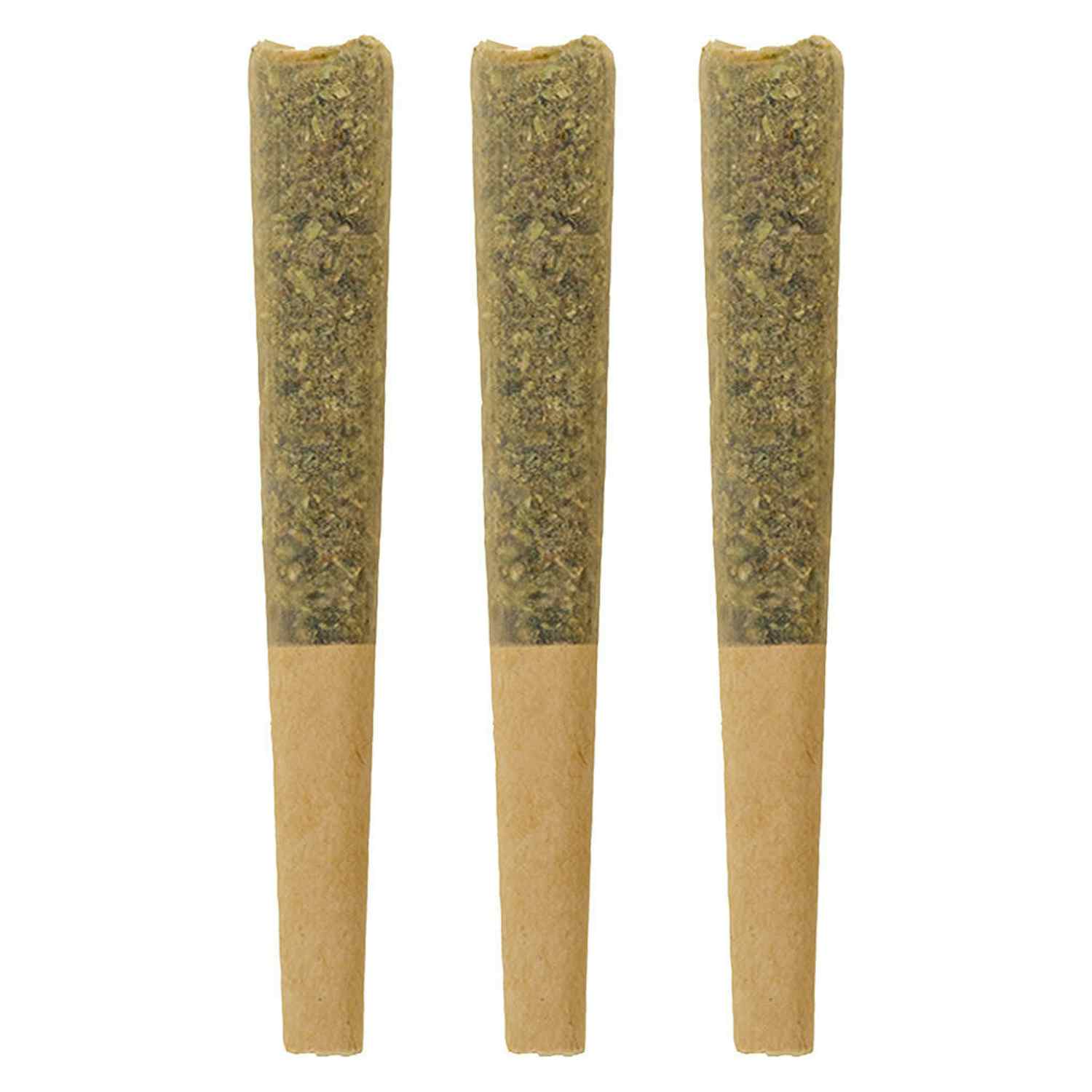 WESTERN CANNABIS - CARNIVAL APPLE INFUSED PRE-ROLLS - 3 x 0.5g - GRAM
