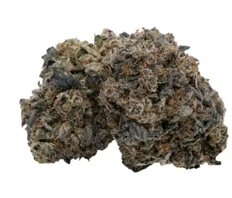 Kq Rare Earth - 28g Hybrid Whole Flower | Kootenay Quantum