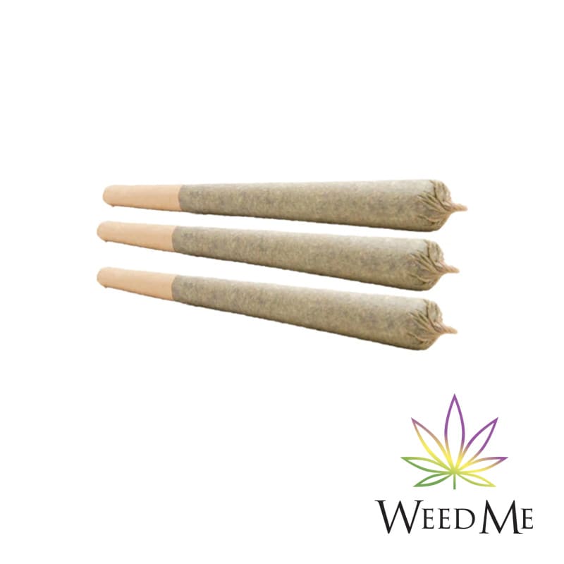 Cindy Jack - 3 X 0.5g Sativa Joints | Weed Me