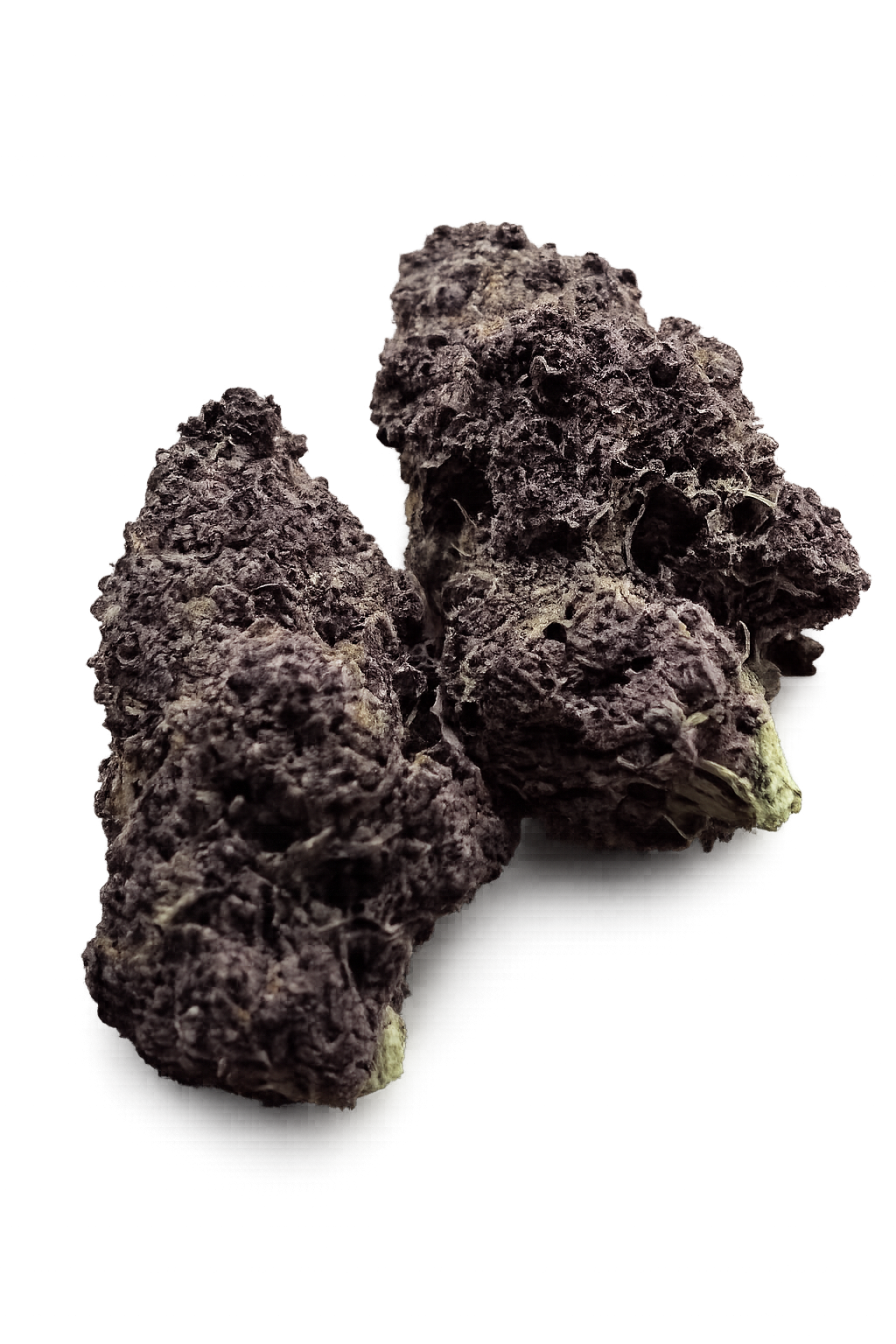 Shucanna Tropical Cherry - 7g Sativa Whole Flower | Shucanna