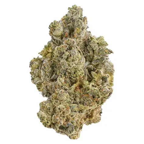 La Bomba - 28g Hybrid Whole Flower | Broken Coast