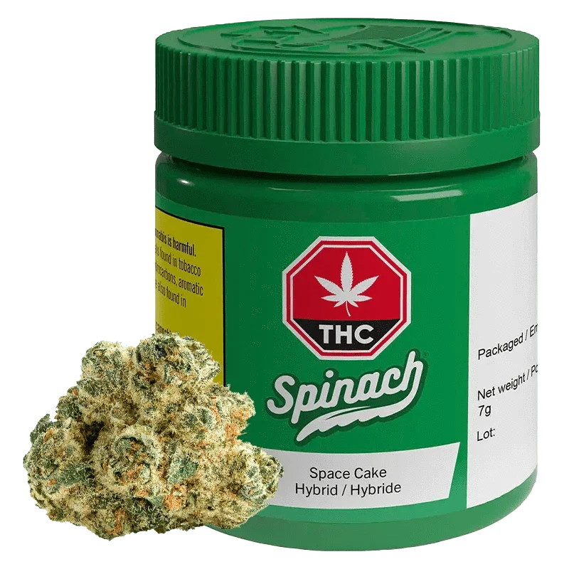 Space Cake - 7g Hybrid Flower | Spinach