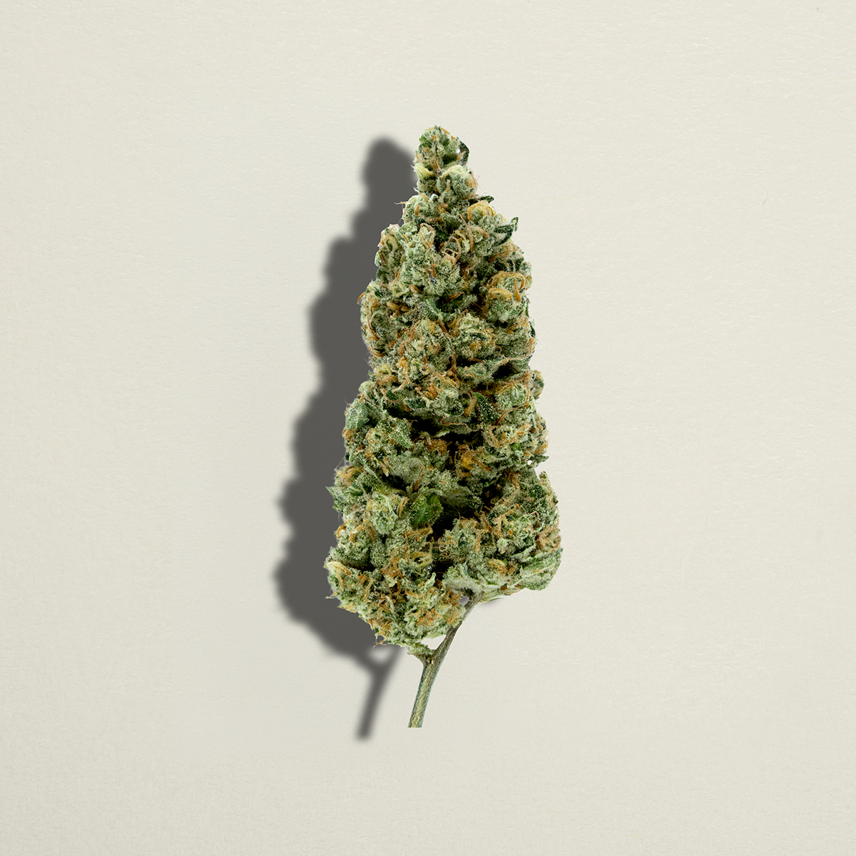 Product image Cherry Tang - 3.5g Sativa Whole Flower | Pure Sunfarms 1