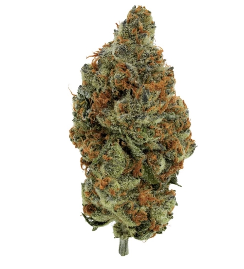 BC Organic Mandarin Zktz - 3.5g Indica Whole Flower | Simply Bare Organic