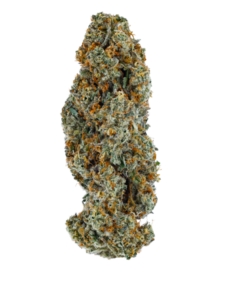 BC Organic Lilac diesel - 3.5g Sativa Whole Flower | Coast Mountain Cannabis