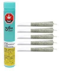 Cherry Chatter - 5 x 0.5g Sativa Joints | Sitka Legends