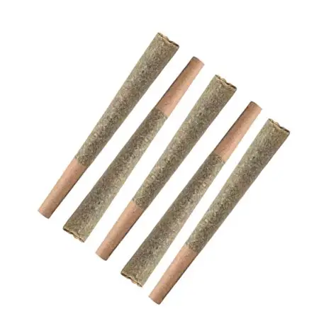 Product image Bong Guru Rockstar 5 x 0.5g Indica Joints | ROGworld 1