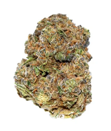 Citrus Ripper -7g Sativa Flower | Choklit Park
