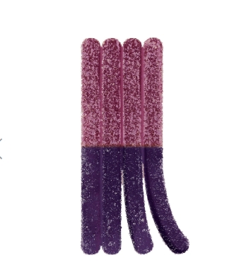 Live Rosin Grandaddy Blackberry Chews 10 X 10mg Blend Gummies | Olli Stikistix