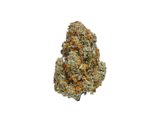 BC Organic Mandarin Octane - 3.5g Sativa Whole Flower | Coast Mountain Cannabis