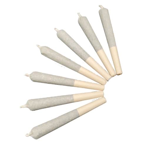 Mango Gold - 7 x 0.5g Sativa Joints | Ross' Gold