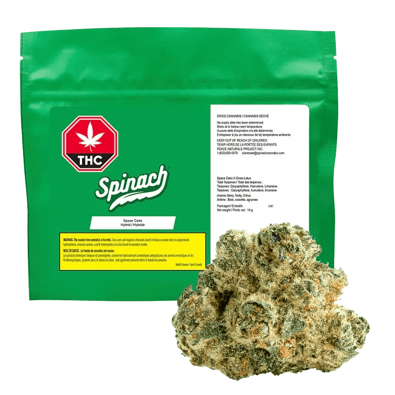 Space Cake - 28g Hybrid Flower | Spinach