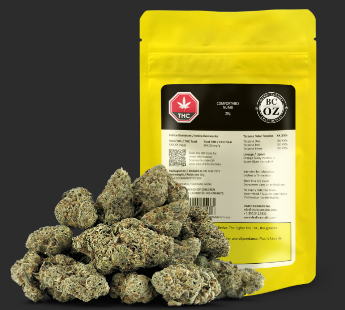 BC OZ - COMFORTABLY NUMB