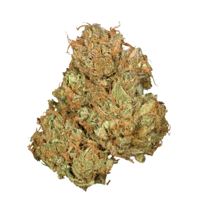 Product image Jean Guy Cbd - 3.5g Sativa Whole Flower | Orchid Cbd 1