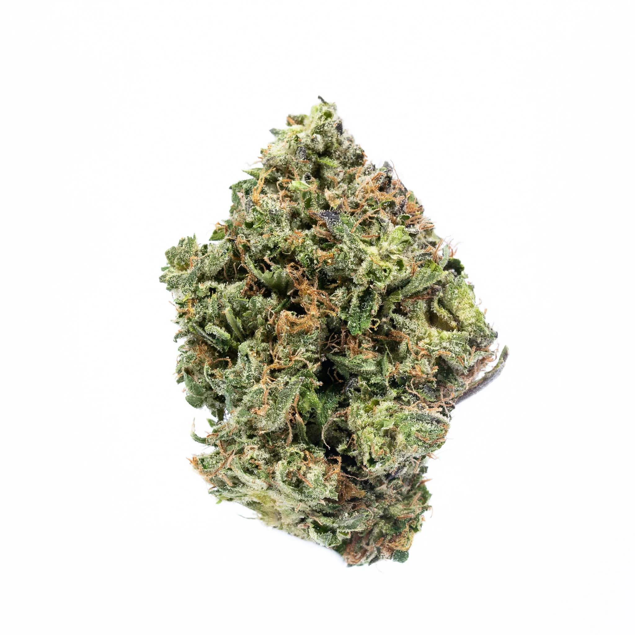 BC Organic Lilac Diesel - 14g Sativa Whole Flower | Coast Mountain Cannabis