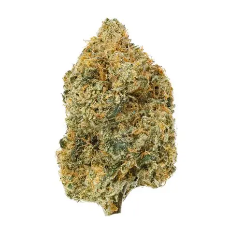 BC Organic Citrus Sky - 14g Hybrid Flower | Coast Mountain Cannabis