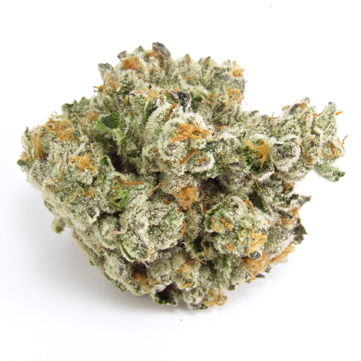 Gas Face - 3.5g Indica Whole Flower | Sixty Seven Sins