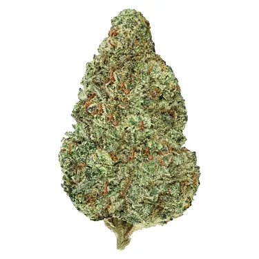 BROKEN COAST - BC SELECTS: PINEAPPLE MARKER 143