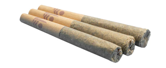 Lemon Tartz - 3 X 0.5g Sativa Joints | All Nations