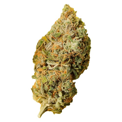 Orange Bud - 28g Indica Flower | Palmetto