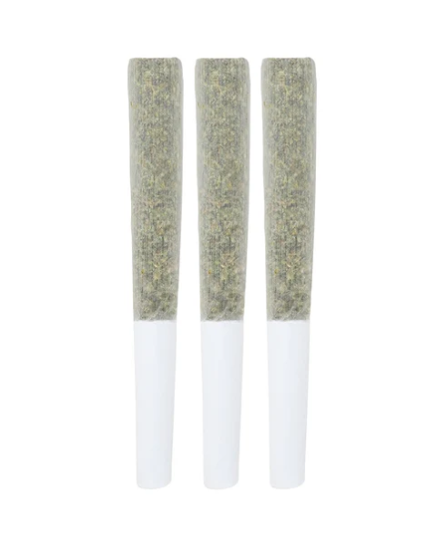 Jack Truffle - 3 x 0.5g Sativa Joints | 3rd Coast Genetics