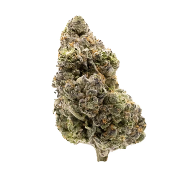 Midnight Sherb - 28g Sativa Whole Flower | Figr