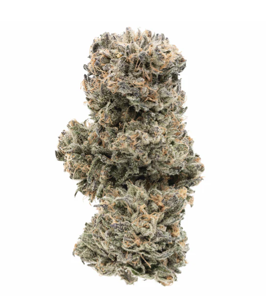 Tropicanna - 7g Sativa Whole Flower | 1964
