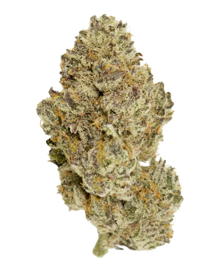 Product image CHOKLIT PARK TOP SHELF - GOLDEN PINEAPPLE WHOLE FLOWER 1