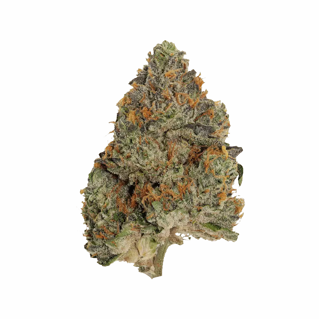 Blue Zushi Smalls - 3.5g Indica Whole Flower | Pistol And Paris