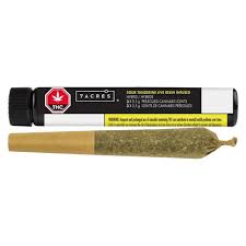 Sour Tangerine Resin - 3 x 0.5g Hybrid Infused Joints | 7ACRES