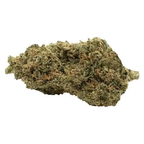 C99 Haze - 7g Sativa Whole Flower | Soar