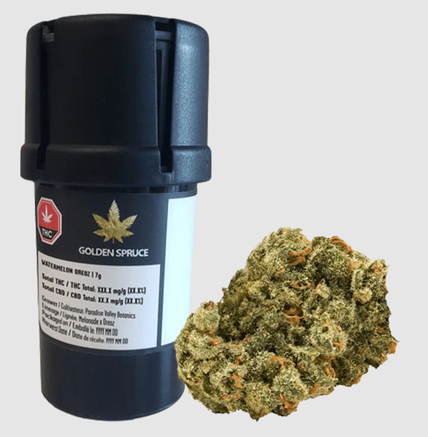 Watermelon Oreoz - 7g Sativa Flower | Golden Spruce