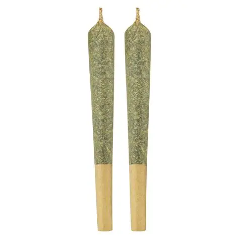 Dream Catcher 2 x 1g Sativa Joints | November Rain