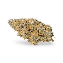 Product image Ice Cream Rntz - 7g Indica Whole Flower | Good Supply 1