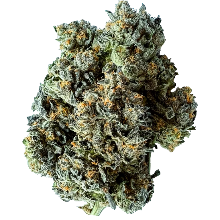 MKU x Jealousy - 14g Indica Flower | Valhalla Flower