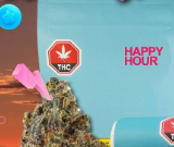 Organic Smalls Sativa - 7g Sativa Flower | Happy Hour