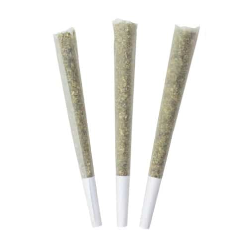 Blueberry Yum Yum - 3 X 1g Indica Joints | Choklit Park