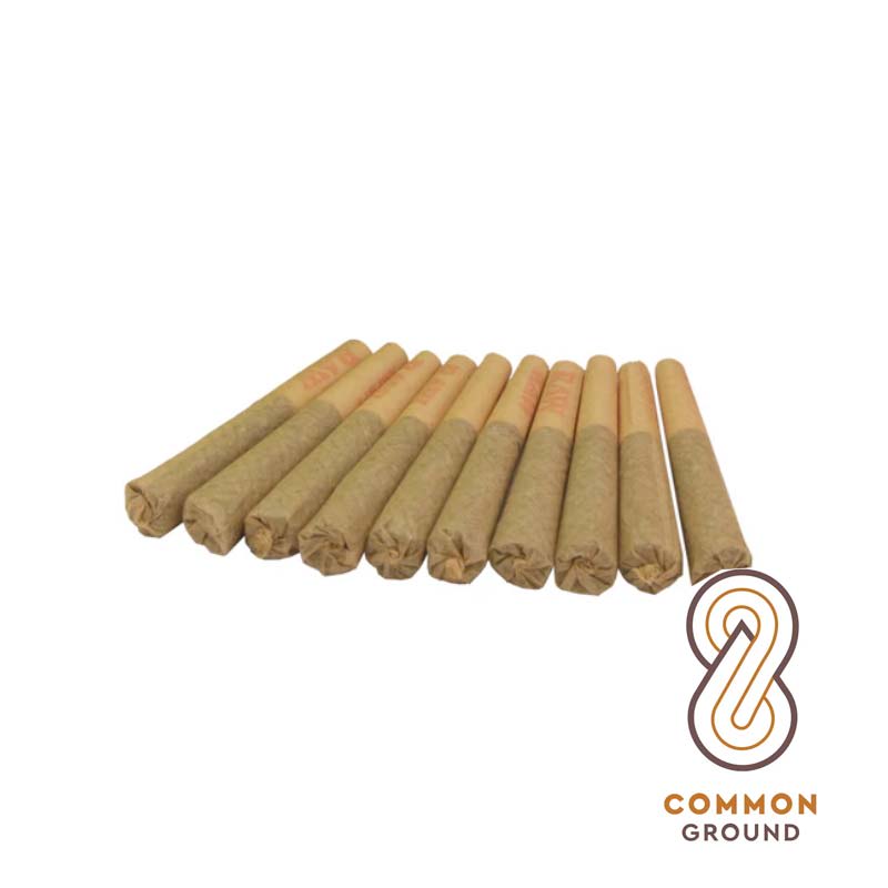 Jelly Doughnutz - 10 X 0.5g Sativa Joints | Common Ground