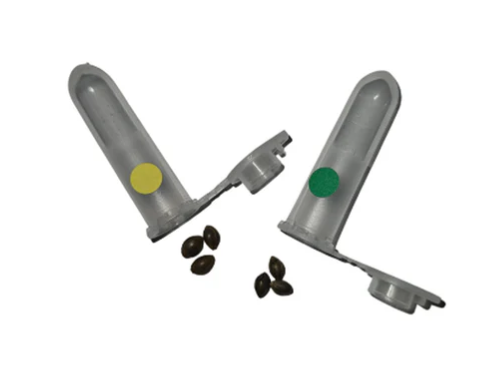 God's Choco Cake/strawberry O. Seeds Variety Pack - 6 X 1g Hybrid  | Kootenay Aeroponic Inc.